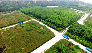 杭州常林-綠色礦山建設(shè)，為何鐘情山推挖掘機—湖州美卓礦業(yè)